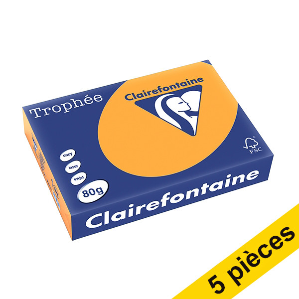 Offre : 5x Clairefontaine papier couleur 80 g/m² A4 (500 feuilles) - clémentine 250404 - 1