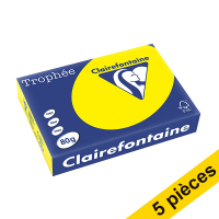 Offre : 5x Clairefontaine papier couleur 80 g/m² A4 (500 feuilles) - jaune soleil