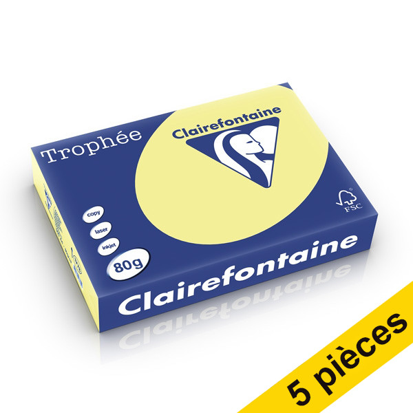 Offre : 5x Clairefontaine papier couleur 80 g/m² A4 (500 feuilles) - jonquille 250413 - 1