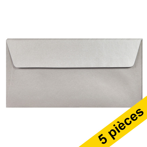 Clairefontaine enveloppes de couleur EA5/6 120 g/m² (5 pièces) - argent 26075C 250325 - 1