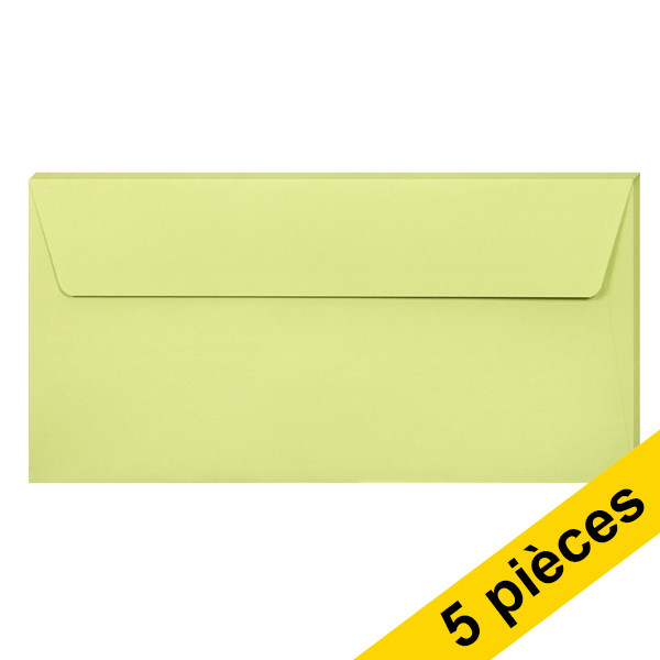 Clairefontaine enveloppes de couleur EA5/6 120 g/m² (5 pièces) - vert feuille 26475C 250317 - 1