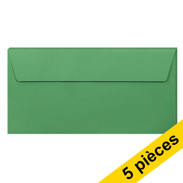 Clairefontaine enveloppes de couleur EA5/6 120 g/m² (5 pièces) - vert forêt 26595C 250318 - 1