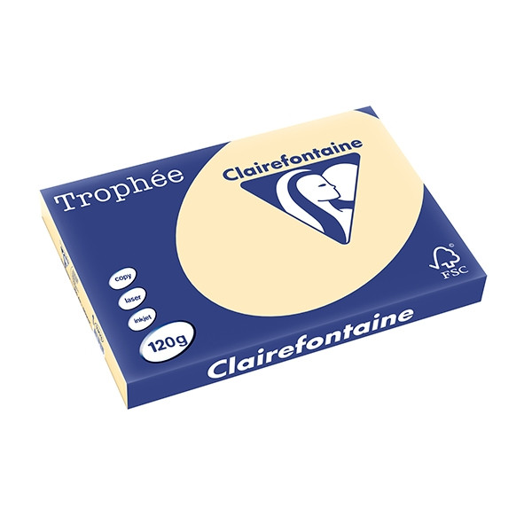 Clairefontaine papier couleur 120 g/m² A3 (250 feuilles) - chamois 1303C 250127 - 1