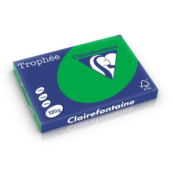 Clairefontaine papier couleur 120 g/m² A3 (250 feuilles) - vert billard 1272C 250230 - 1