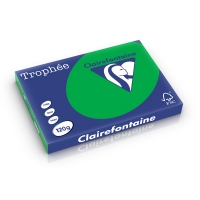 Clairefontaine papier couleur 120 g/m² A3 (250 feuilles) - vert billard 1272C 250230