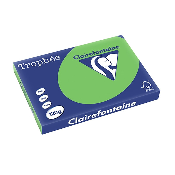 Clairefontaine papier couleur 120 g/m² A3 (250 feuilles) - vert menthe 1383C 250141 - 1