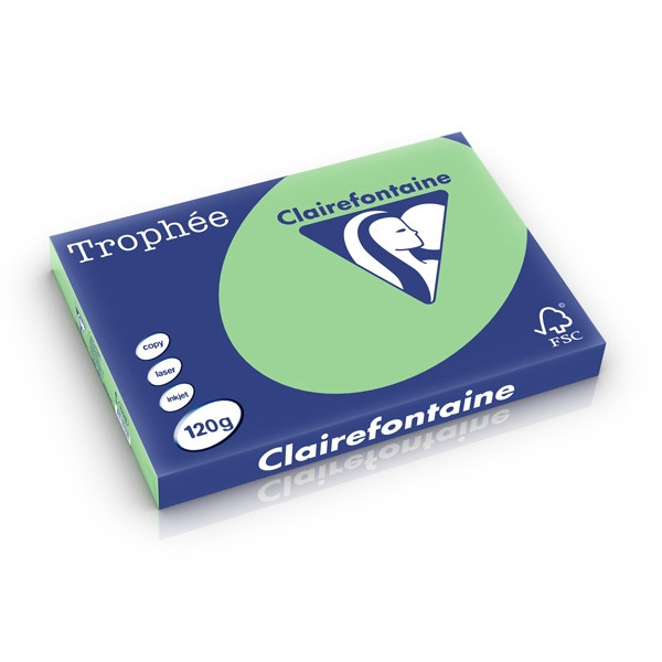 Clairefontaine papier couleur 120 g/m² A3 (250 feuilles) - vert nature 1328C 250224 - 1