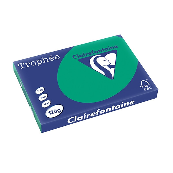 Clairefontaine papier couleur 120 g/m² A3 (250 feuilles) - vert sapin 1384C 250142 - 1