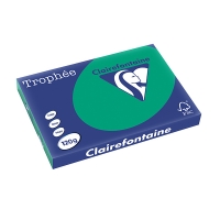 Clairefontaine papier couleur 120 g/m² A3 (250 feuilles) - vert sapin 1384C 250142