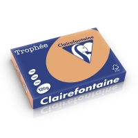 Clairefontaine papier couleur 120 g/m² A4 (250 feuilles) - caramel 1244C 250196