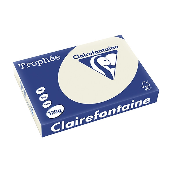 Clairefontaine papier couleur 120 g/m² A4 (250 feuilles) - gris perle 1201C 250070 - 1