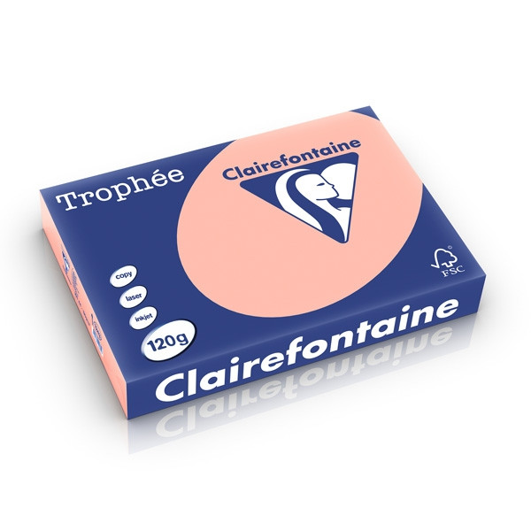 Clairefontaine papier couleur 120 g/m² A4 (250 feuilles) - pêche 1243C 250198 - 1