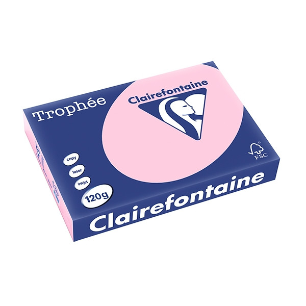 Clairefontaine papier couleur 120 g/m² A4 (250 feuilles) - rose 1210C 250075 - 1