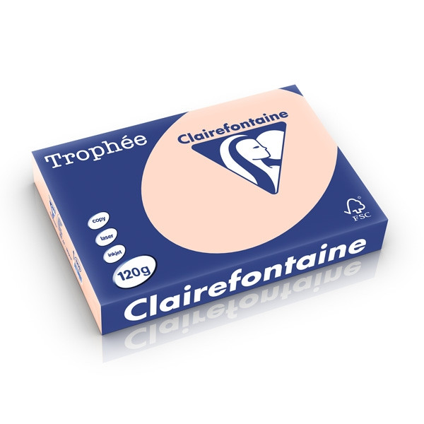 Clairefontaine papier couleur 120 g/m² A4 (250 feuilles) - saumon 1209C 250201 - 1