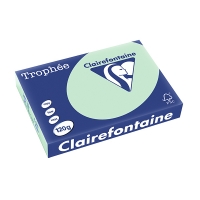 Clairefontaine papier couleur 120 g/m² A4 (250 feuilles) - vert 1216C 250078