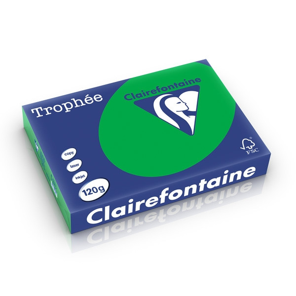 Clairefontaine papier couleur 120 g/m² A4 (250 feuilles) - vert billard 1271C 250212 - 1