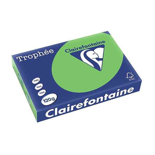 Clairefontaine papier couleur 120 g/m² A4 (250 feuilles) - vert menthe 1293C 250085 - 1