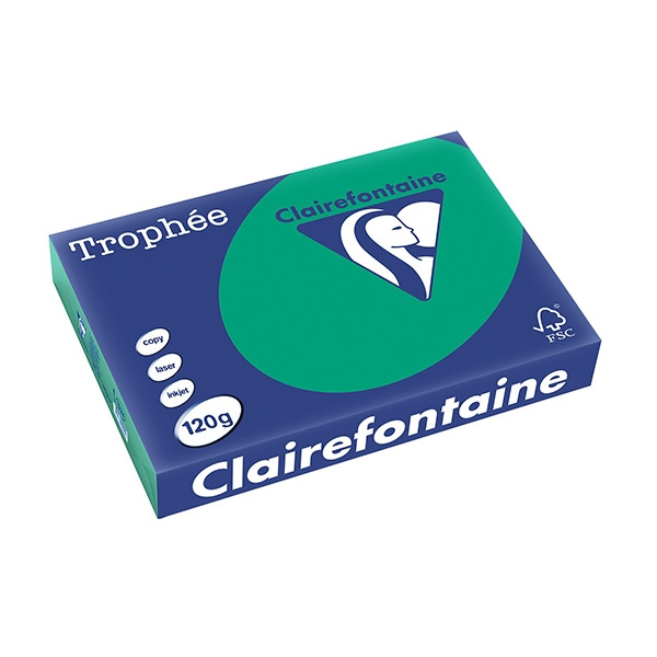 Clairefontaine papier couleur 120 g/m² A4 (250 feuilles) - vert sapin 1224C 250086 - 1