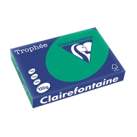 Clairefontaine papier couleur 120 g/m² A4 (250 feuilles) - vert sapin 1224C 250086