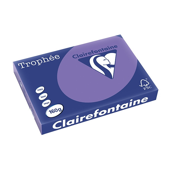Clairefontaine papier couleur 160 g/m² A3 (250 feuilles) - violine 1047C 250156 - 1