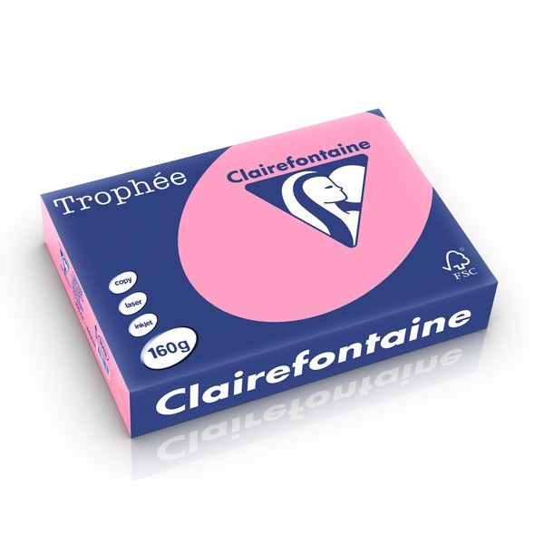 Clairefontaine papier couleur 160 g/m² A4 (250 feuilles) - églantine 1013C 250245 - 1