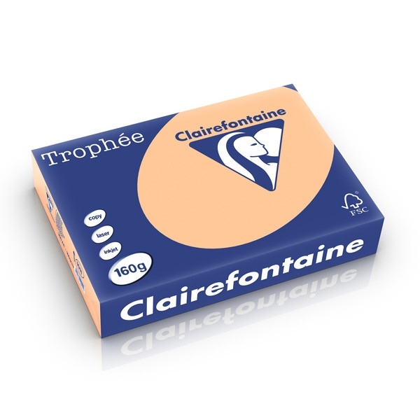 Clairefontaine papier couleur 160 g/m² A4 (250 feuilles) - abricot 1011C 250237 - 1