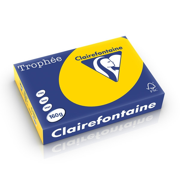 Clairefontaine papier couleur 160 g/m² A4 (250 feuilles) - bouton d'or 1103C 250239 - 1