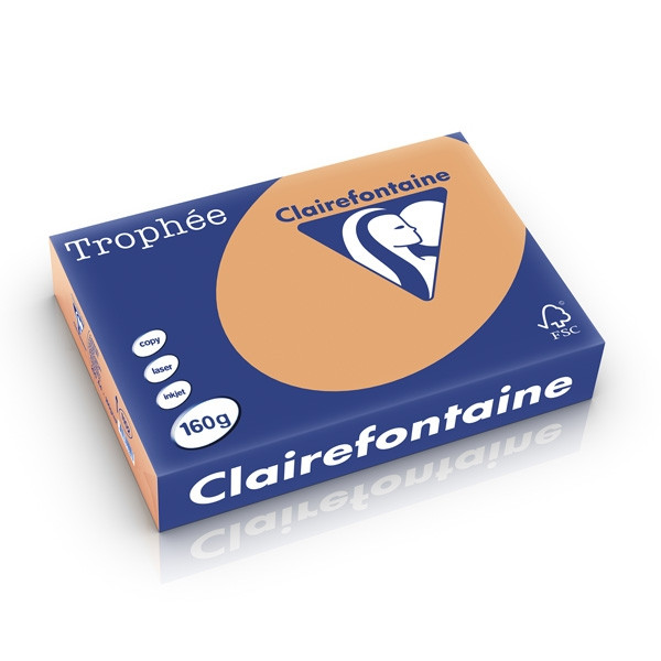 Clairefontaine papier couleur 160 g/m² A4 (250 feuilles) - caramel 1102C 250235 - 1