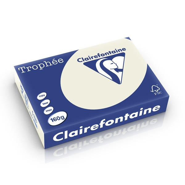 Clairefontaine papier couleur 160 g/m² A4 (250 feuilles) - gris perle 1041C 250231 - 1