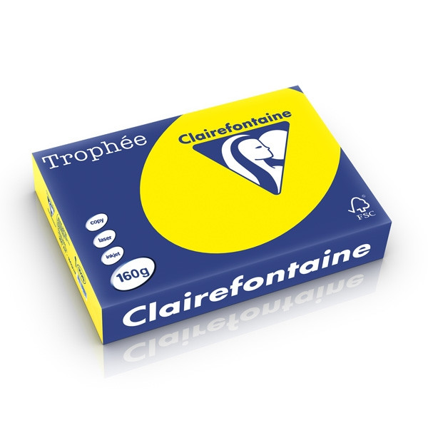 Clairefontaine papier couleur 160 g/m² A4 (250 feuilles) - jaune soleil 1029C 250262 - 1