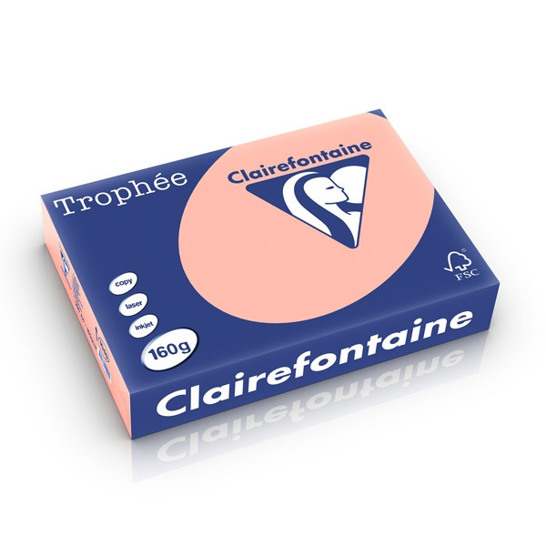 Clairefontaine papier couleur 160 g/m² A4 (250 feuilles) - pêche 1049C 250238 - 1