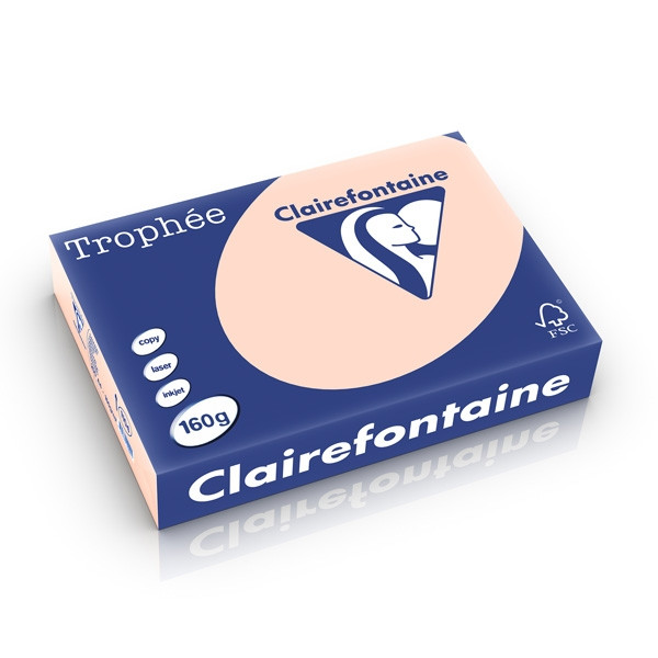 Clairefontaine papier couleur 160 g/m² A4 (250 feuilles) - saumon 1104C 250242 - 1