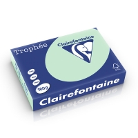 Clairefontaine papier couleur 160 g/m² A4 (250 feuilles) - vert 2635C 250252