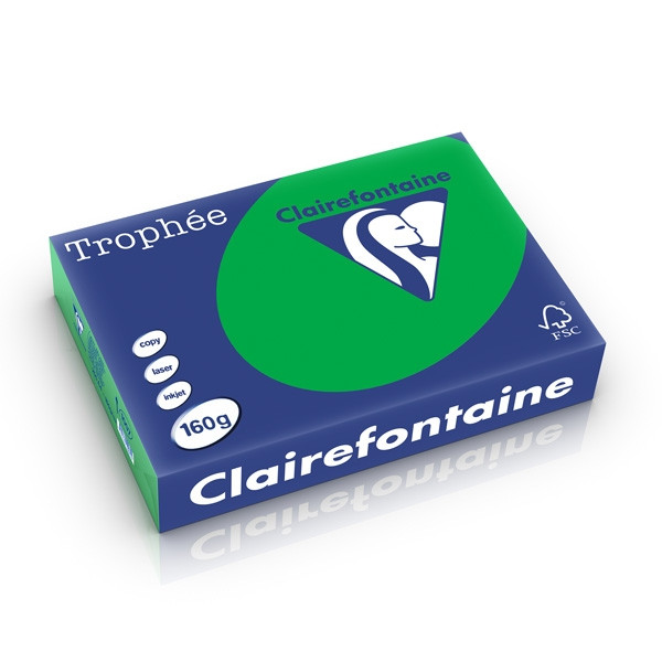Clairefontaine papier couleur 160 g/m² A4 (250 feuilles) - vert billard 1007C 250265 - 1