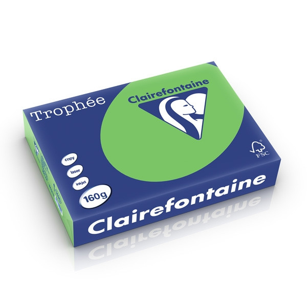 Clairefontaine papier couleur 160 g/m² A4 (250 feuilles) - vert menthe 1025C 250264 - 1