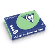 Clairefontaine papier couleur 160 g/m² A4 (250 feuilles) - vert nature 1120C 250250