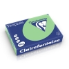 Clairefontaine papier couleur 160 g/m² A4 (250 feuilles) - vert nature