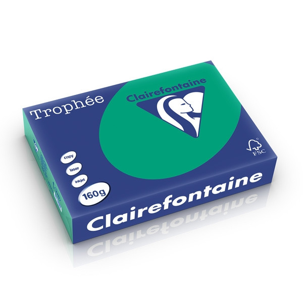 Clairefontaine papier couleur 160 g/m² A4 (250 feuilles) - vert sapin 1019C 250266 - 1
