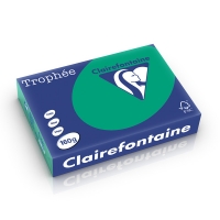 Clairefontaine papier couleur 160 g/m² A4 (250 feuilles) - vert sapin 1019C 250266