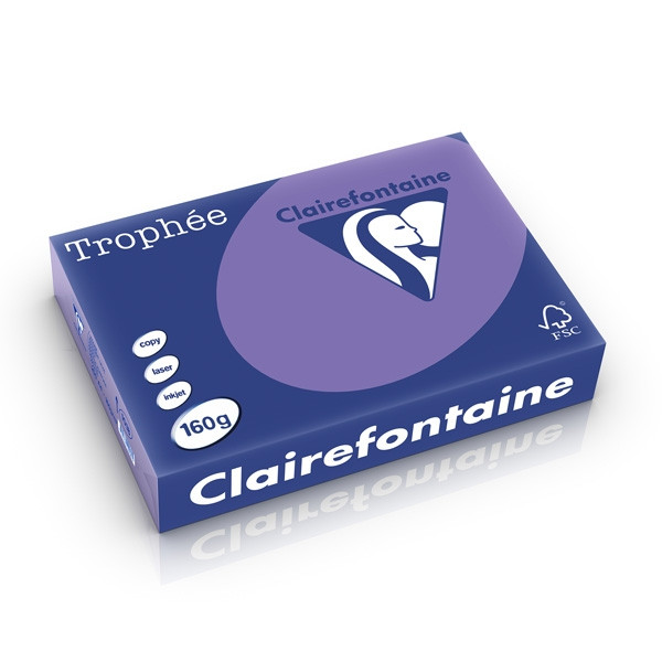Clairefontaine papier couleur 160 g/m² A4 (250 feuilles) - violine 1018C 250259 - 1