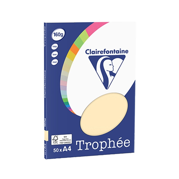 Clairefontaine papier couleur 160 g/m² A4 (50 feuilles) - chamois 4156C 250065 - 1