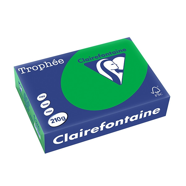Clairefontaine papier couleur 210 g/m² A4 (250 feuilles) - vert billard 2215C 250104 - 1