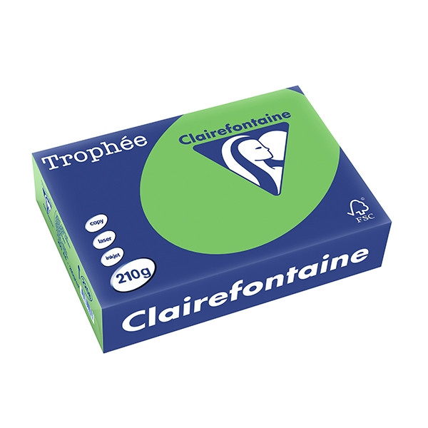 Clairefontaine papier couleur 210 g/m² A4 (250 feuilles) - vert menthe 2208C 250103 - 1
