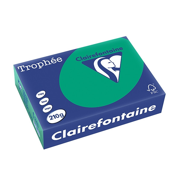 Clairefontaine papier couleur 210 g/m² A4 (250 feuilles) - vert sapin 2213C 250105 - 1