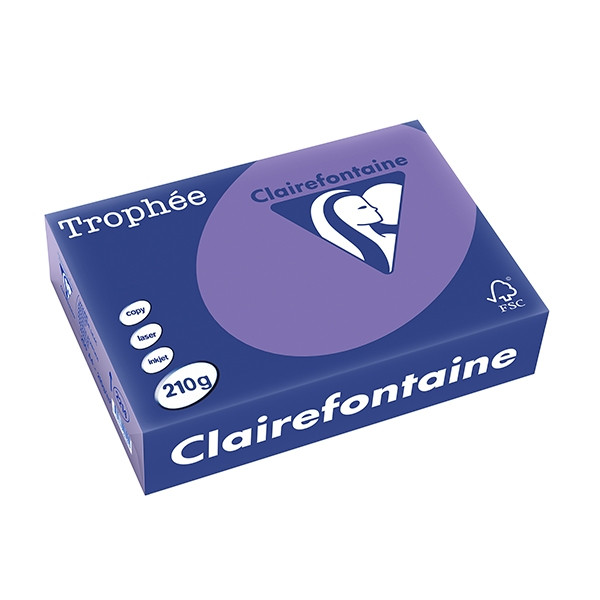 Clairefontaine papier couleur 210 g/m² A4 (250 feuilles) - violine 2214C 250100 - 1