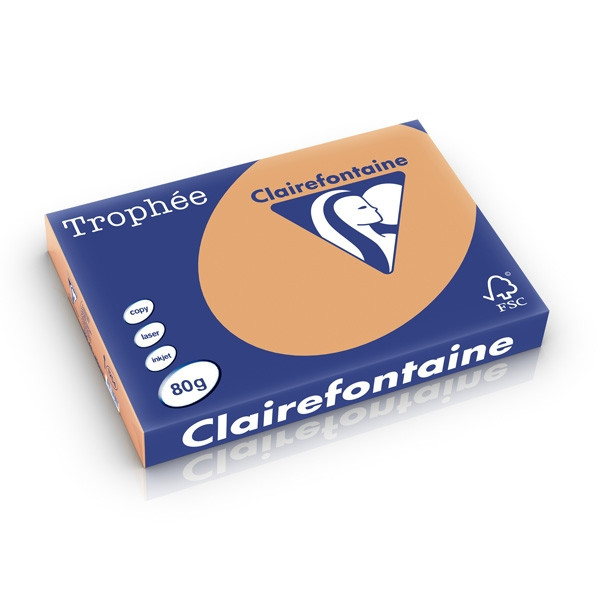 Clairefontaine papier couleur 80 g/m² A3 (500 feuilles) - caramel 1254C 250179 - 1