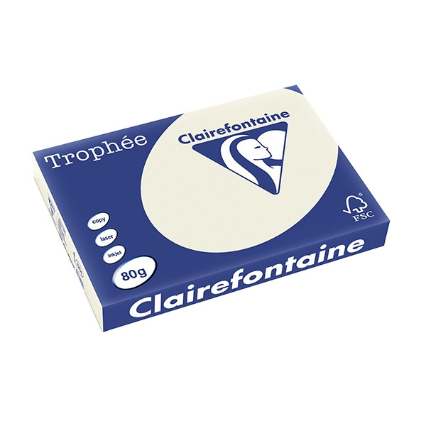 Clairefontaine papier couleur 80 g/m² A3 (500 feuilles) - gris perle 1251C 250106 - 1