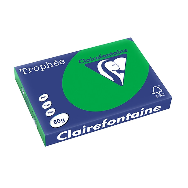 Clairefontaine papier couleur 80 g/m² A3 (500 feuilles) - vert billard 1992C 250123 - 1
