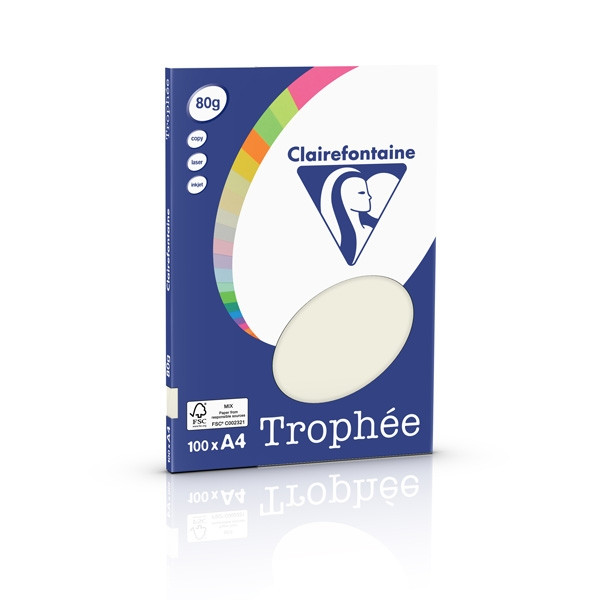 Clairefontaine papier couleur 80 g/m² A4 (100 feuilles) - gris perle 4118C 250034 - 1