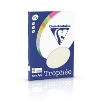 Clairefontaine papier couleur 80 g/m² A4 (100 feuilles) - gris perle 4118C 250034